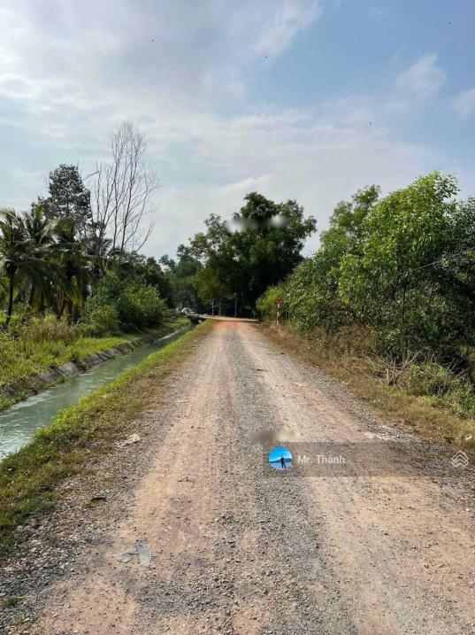 3886482 ảnh đại diện 1