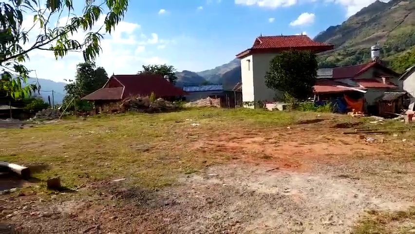 3887452 ảnh đại diện 1