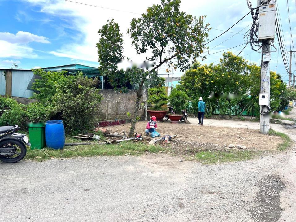 3886597 ảnh đại diện 2