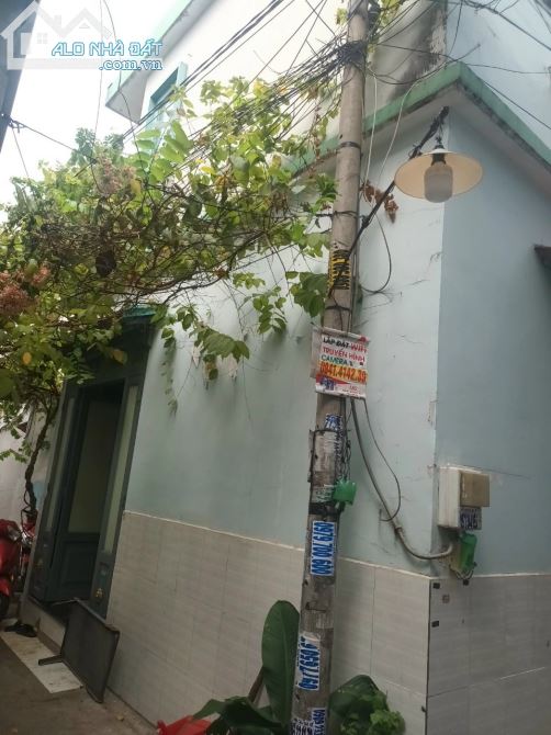 3890714 ảnh đại diện 1