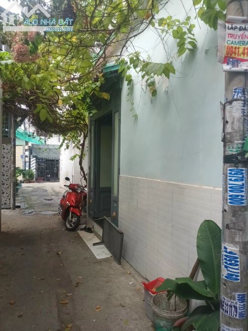 3890714 ảnh đại diện 2