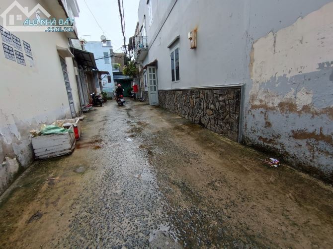 3890705 ảnh đại diện 2