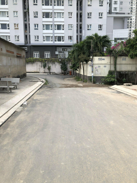 3890958 ảnh đại diện 1