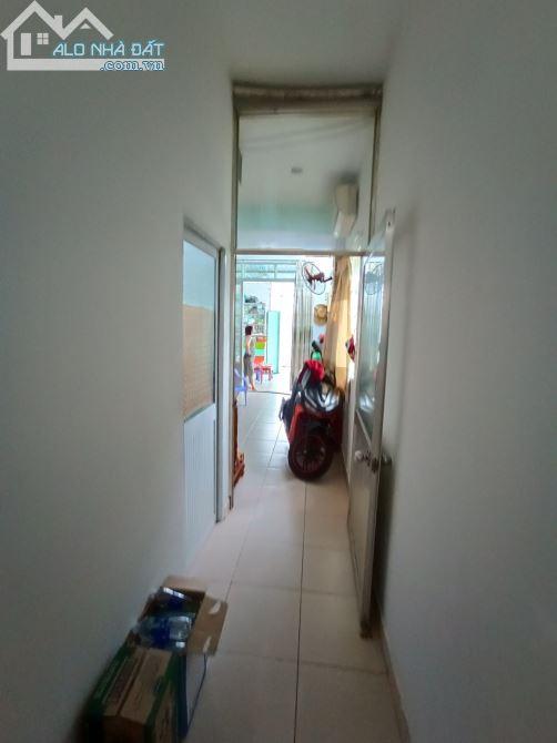 3890719 ảnh đại diện 2