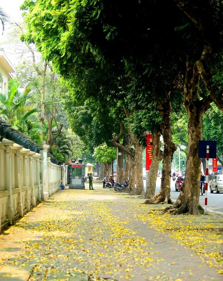 Bán tòa đồ sộ mặt phố Trần Hưng Đạo Quận Hoàn Kiếm, giá thương lượng.