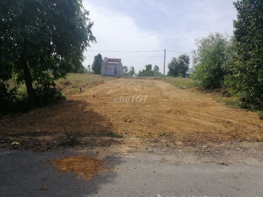 3894842 ảnh đại diện 1