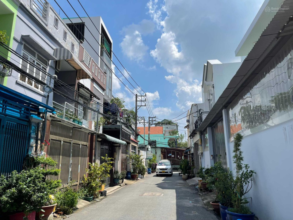 3893407 ảnh đại diện 1