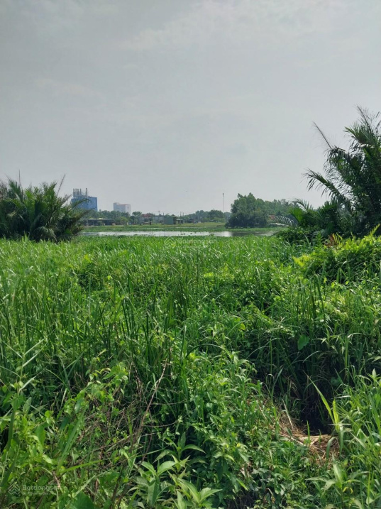 3893241 ảnh đại diện 1