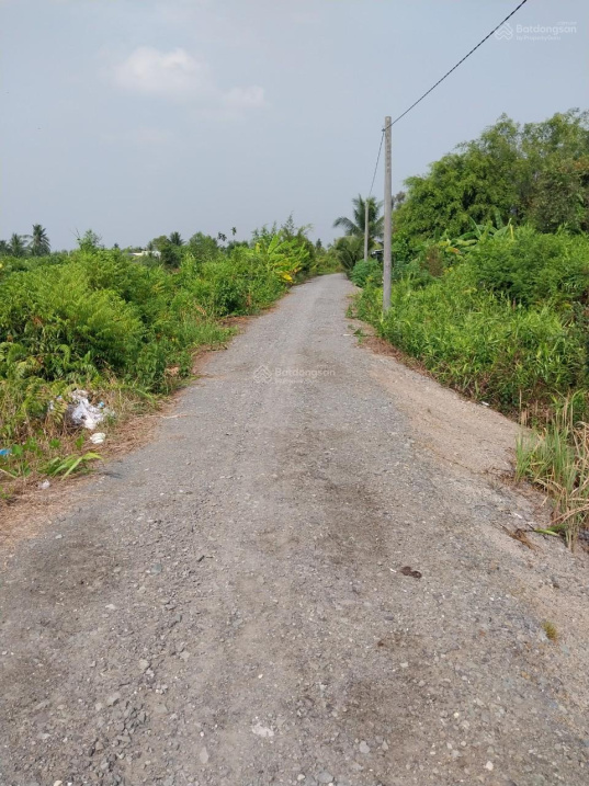 3893241 ảnh đại diện 1