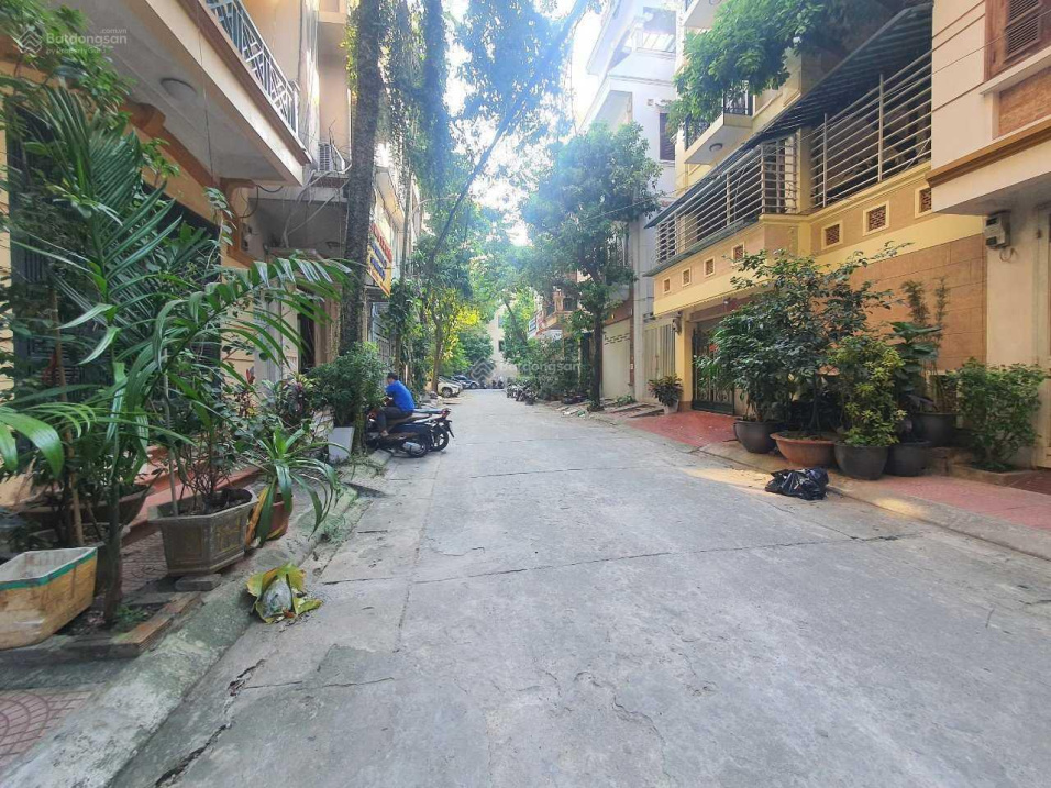 3897080 ảnh đại diện 2