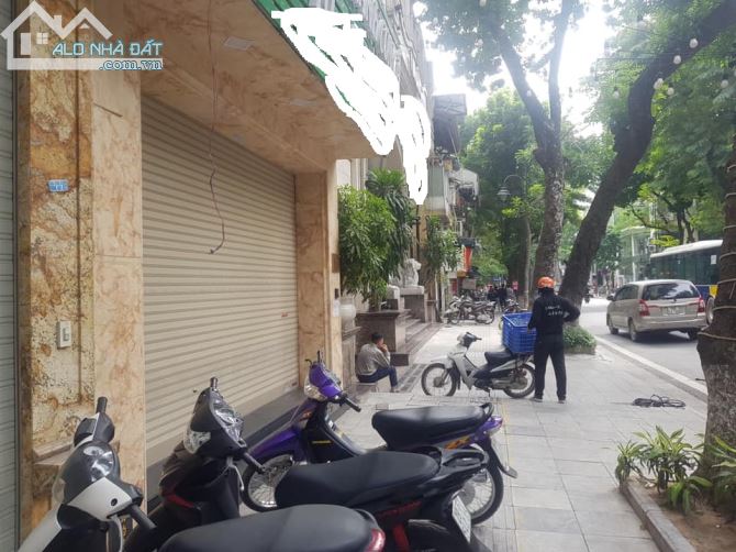 3896097 ảnh đại diện 1