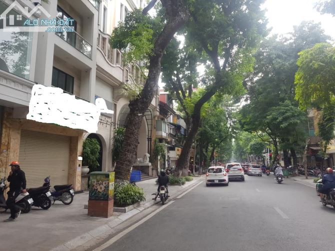 3896097 ảnh đại diện 1