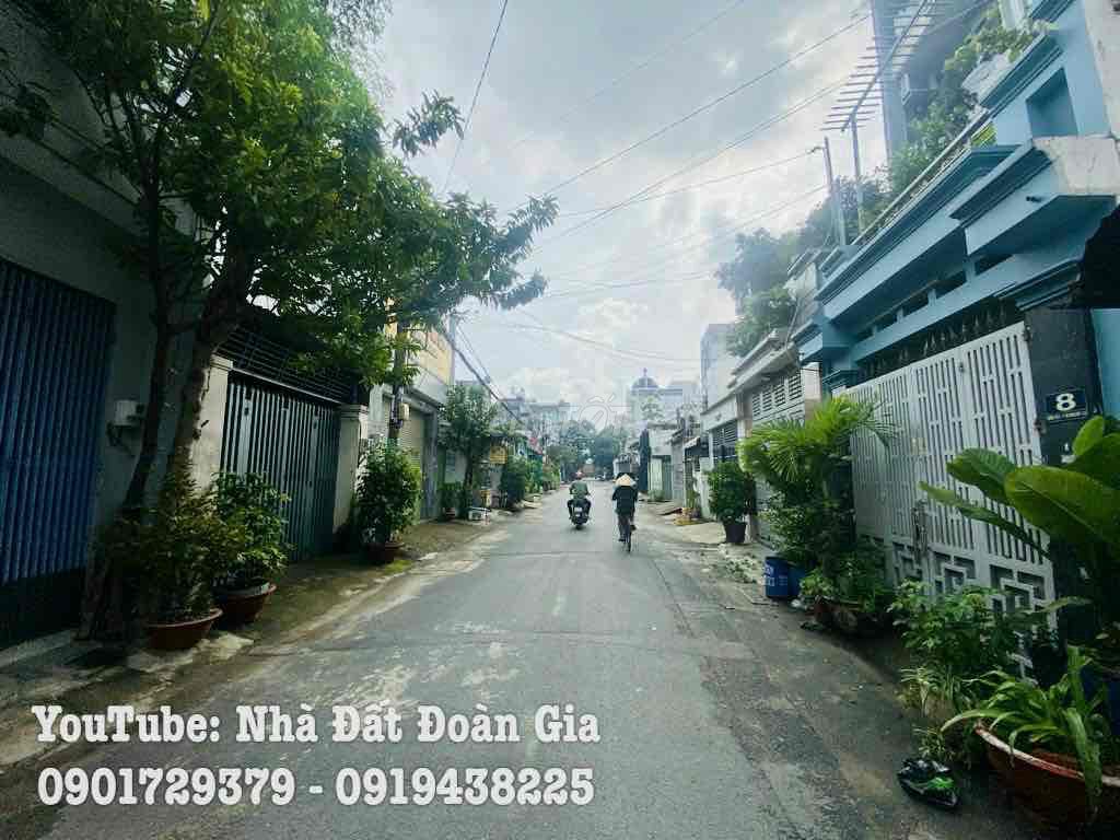 3898877 ảnh đại diện 1