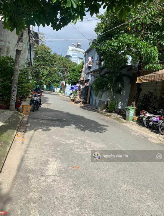 3900744 ảnh đại diện 1