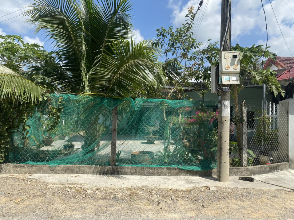 3903023 ảnh đại diện 1