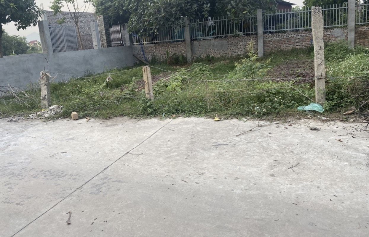 3902573 ảnh đại diện 2