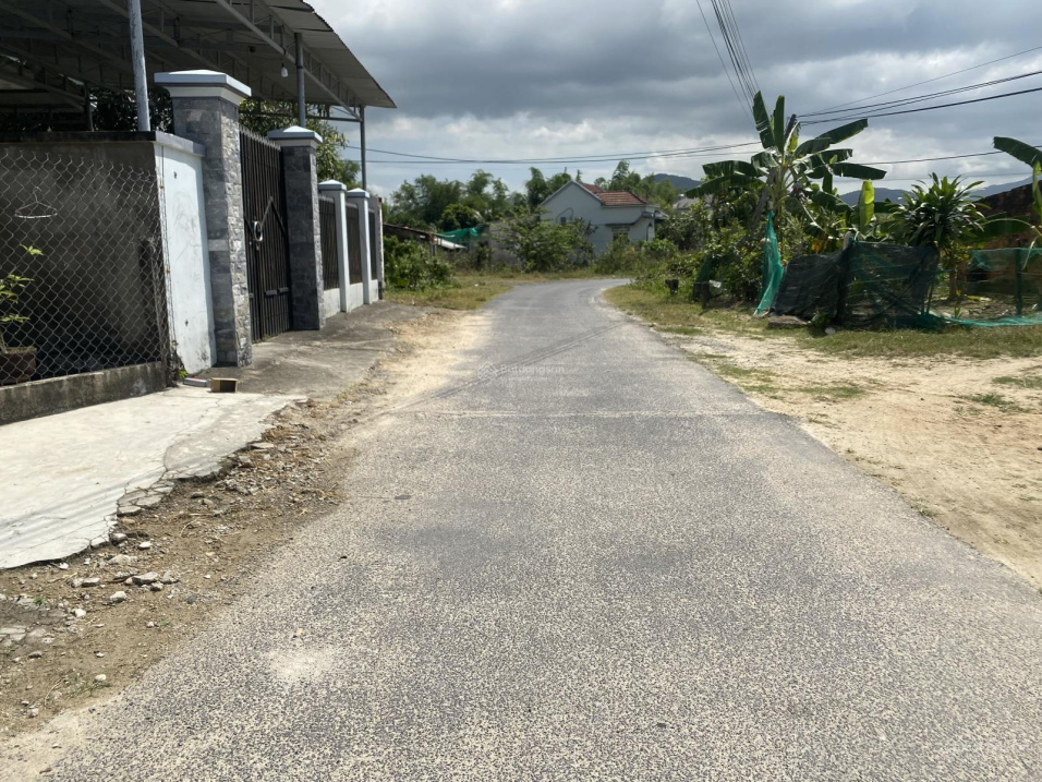 3903023 ảnh đại diện 2