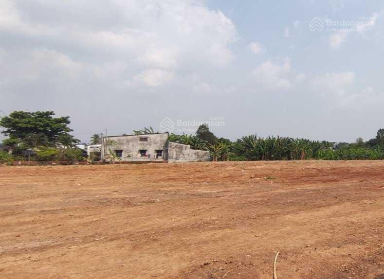 3902980 ảnh đại diện 2