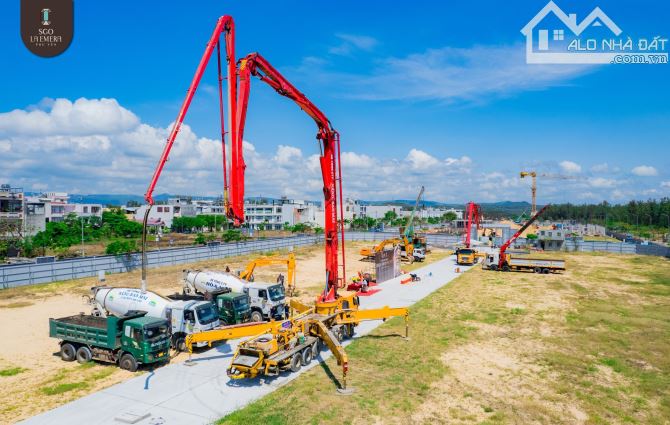 3902021 ảnh đại diện 1