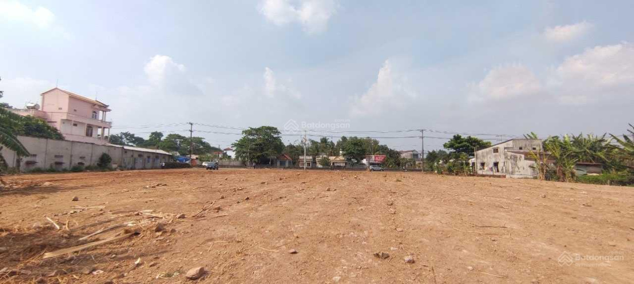 3902976 ảnh đại diện 2