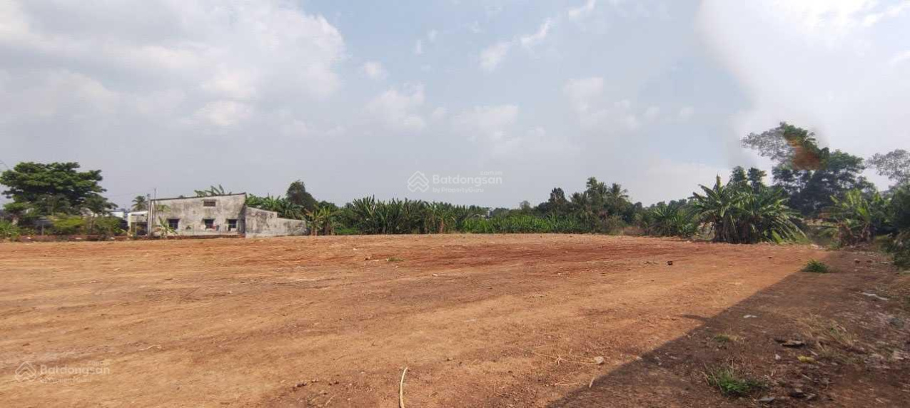 3902976 ảnh đại diện 1