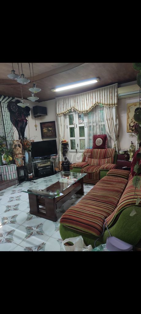 3903297 ảnh đại diện 1