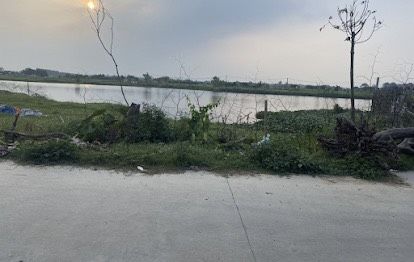 3902573 ảnh đại diện 1