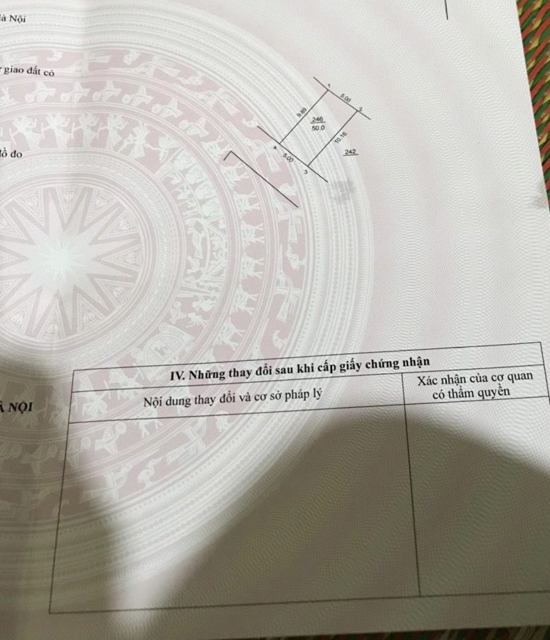 3902573 ảnh đại diện 1