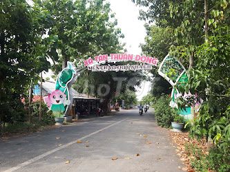 Cho Thuê Đất Vườn Xoài 280 Triệu/5 Năm Tại Xã Tân Thuận Đông