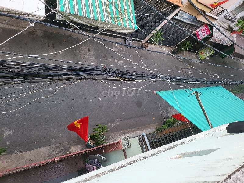 3903795 ảnh đại diện 1