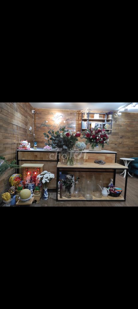 3903297 ảnh đại diện 1