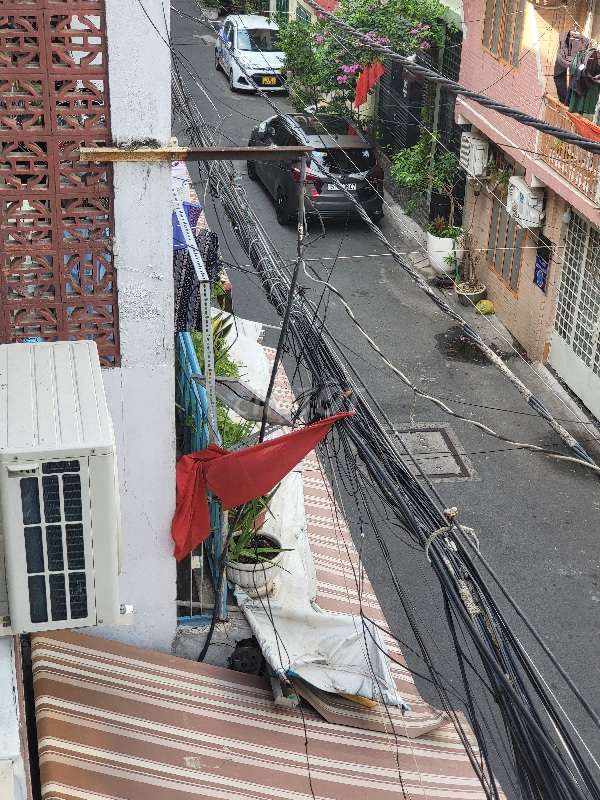 3903795 ảnh đại diện 2