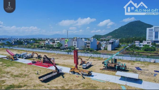 3902020 ảnh đại diện 1