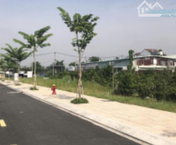 3907270 ảnh đại diện 1