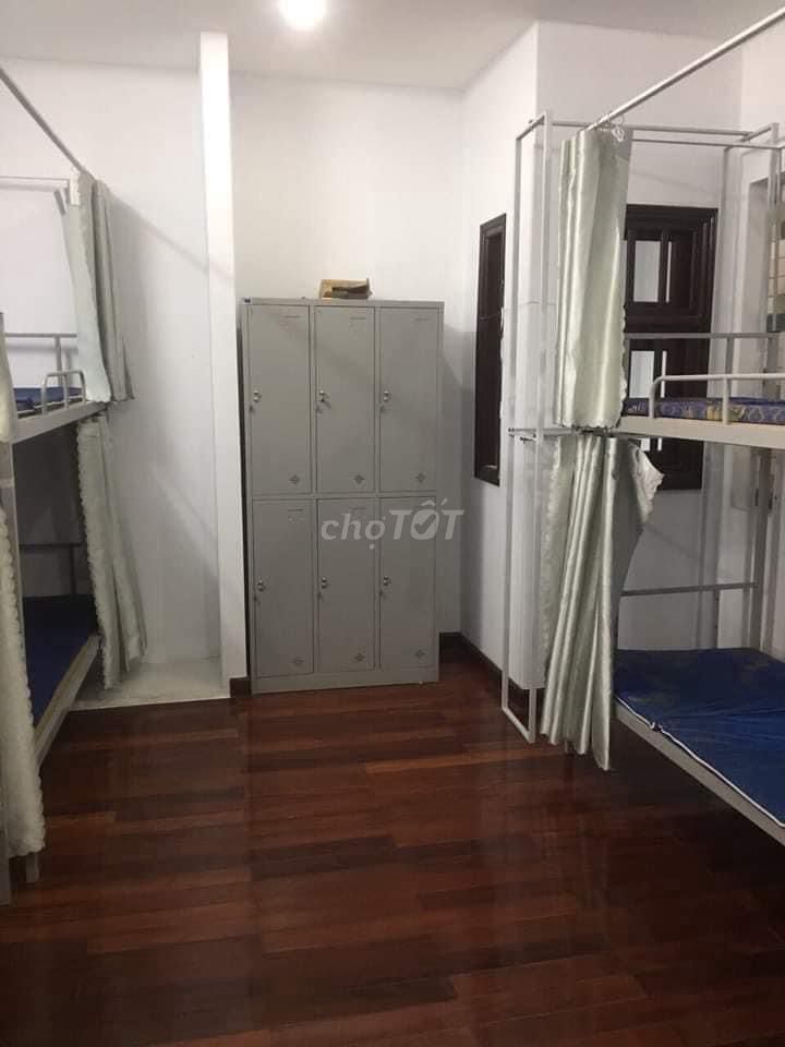 3905453 ảnh đại diện 1