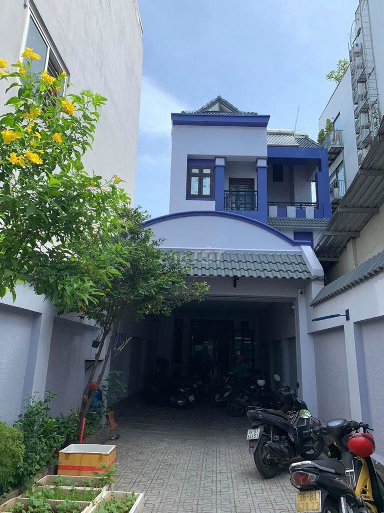 3905453 ảnh đại diện 1
