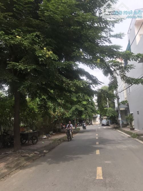 3907274 ảnh đại diện 2