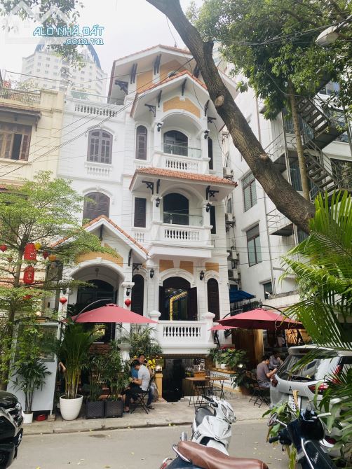 3904502 ảnh đại diện 1