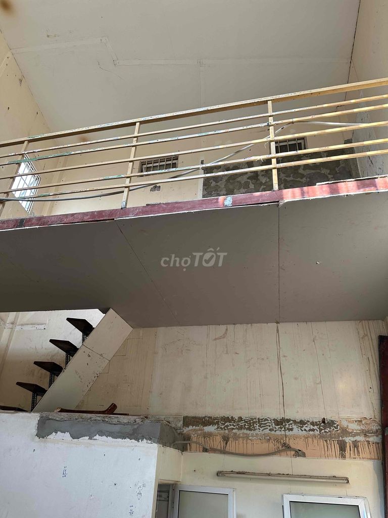 3904484 ảnh đại diện 1