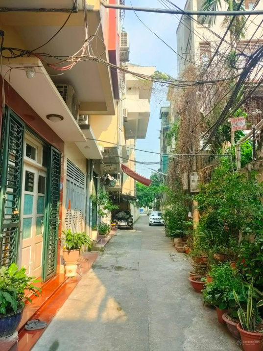 3905488 ảnh đại diện 1