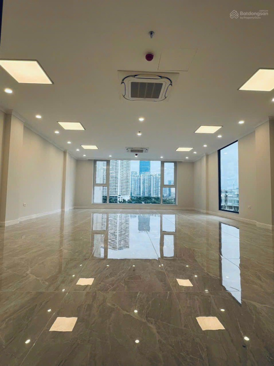 3907307 ảnh đại diện 1