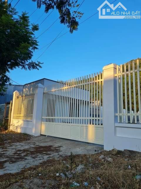 3904509 ảnh đại diện 1