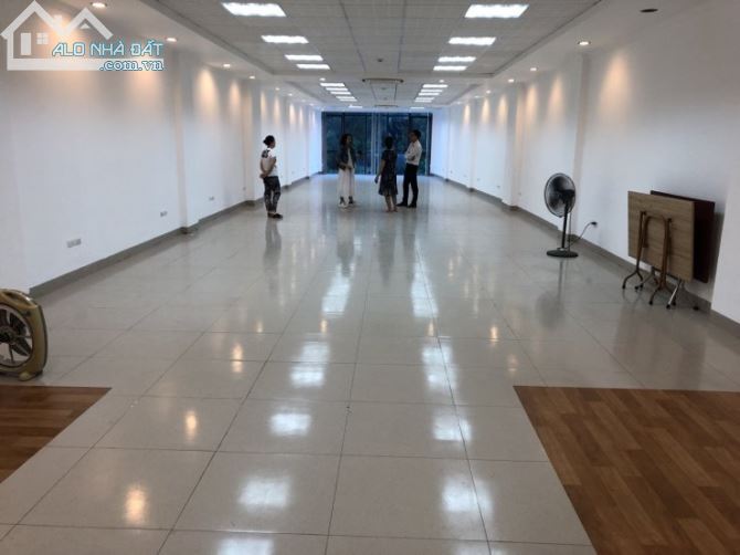 3904751 ảnh đại diện 1