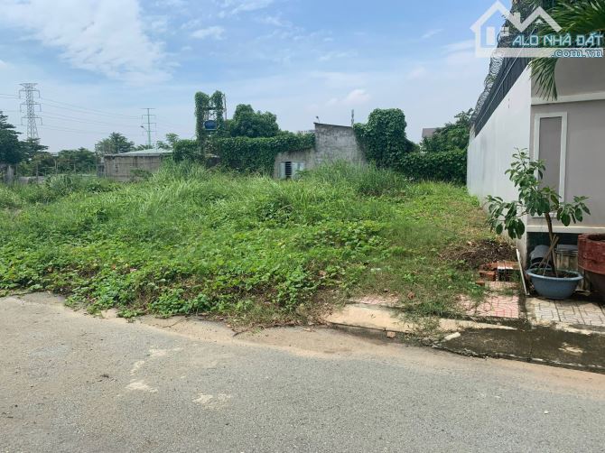 3907274 ảnh đại diện 1