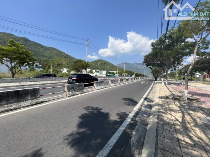 3904508 ảnh đại diện 1