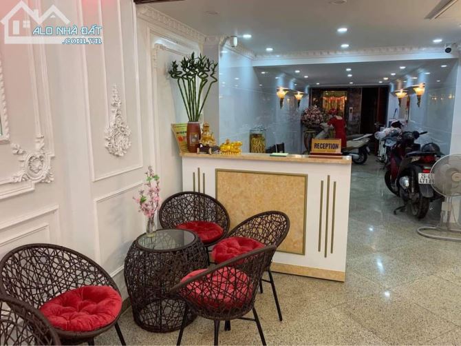3904488 ảnh đại diện 1