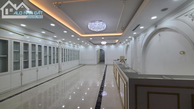 3904779 ảnh đại diện 1