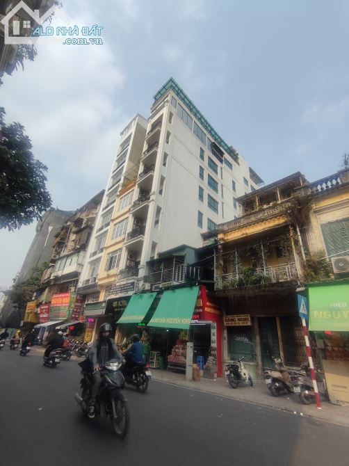 3904481 ảnh đại diện 1