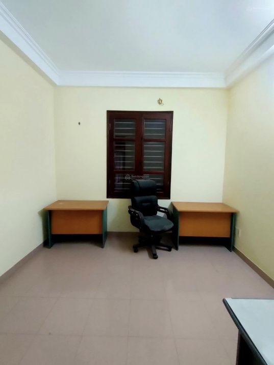 3905488 ảnh đại diện 2