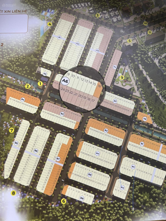 3910979 ảnh đại diện 2